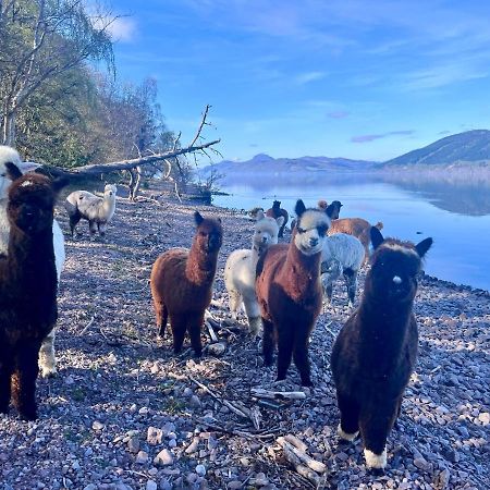 Balachladaich Loch Ness B&B Dores エクステリア 写真